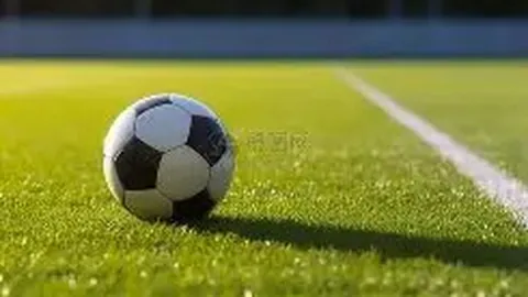 球盟会 资讯 123018 yqt