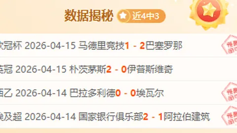 篮球赛事解析：黄蜂与热火对决详解